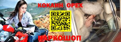 стафф Кингисепп