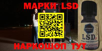 стафф Кингисепп