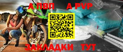 стафф Кингисепп