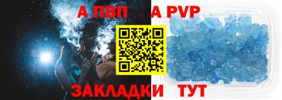 стафф Кингисепп