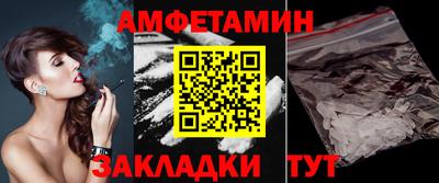 стафф Кингисепп