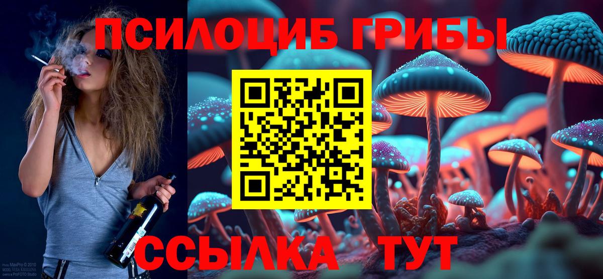 Махачкала  Псилоцибиновые грибы прущие грибы  Галлюциногенные грибы Psilocybe  где продают наркотики  Вход с VPN 